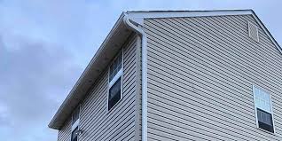 Best Siding Painting and Refinishing  in Mmaduke, AR